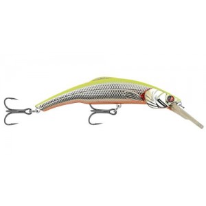 KINCHOU MINNOW SMDS5 DS53(Chromatic Sunrise) KINCHOU MINNOW SMDS5 DS53(Chromatic Sunrise)
